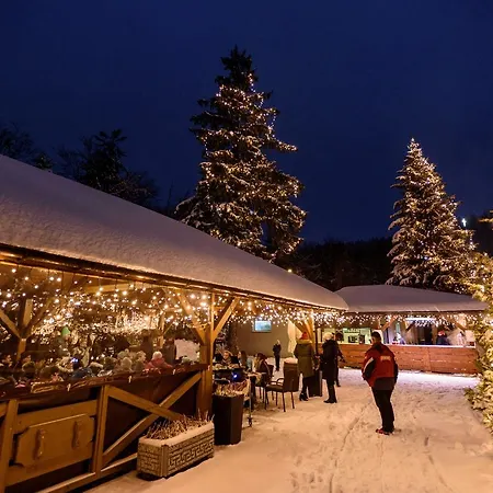 Centrum Kongresow I Rekreacji Orle Gniazdo 3*